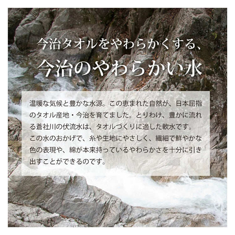 ファイエット薬用保湿クリームと今治タオルのギフト 母の日 コスメ スキンケア 厚生労働省認定 日本製 50g入り